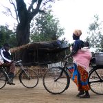 Tous à vélos!