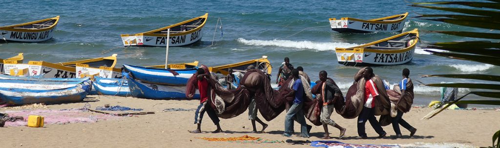 Les pêcheurs acheminent les filets vers les bateaux