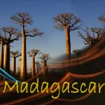 Vignette Gilanik Madagascar