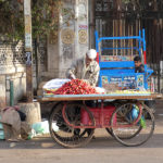 Portraits de marchés