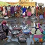 Marché aux poissons