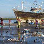 Marché aux poissons