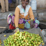 Portraits de marchés