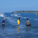 Régates de pêcheurs