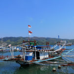 Pêche aux lamparos