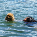 Au bain avec sa peluche préférée