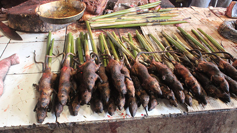 Brochettes de rats