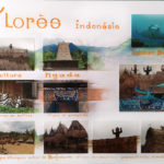 Flores – Indonésie 2016