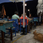 Chats grecs