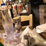 Petits tableaux grecs…