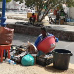 Mindelo, la petite Lisbonne…