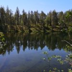Reflets