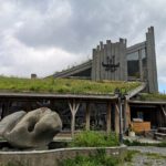 Toitures végétales