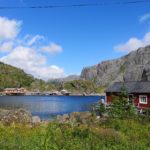 Toitures végétales