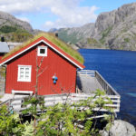 Toitures végétales