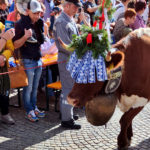 Fête des vaches!