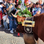 Fête des vaches!