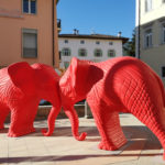 Animation Animaux