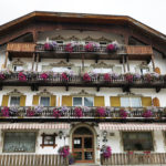 Fleurs au balcon