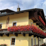 Fleurs au balcon