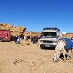 Au souk