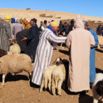 Marché aux bestiaux