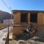 Nos bonnes adresses