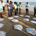 Pêcheurs à Puri