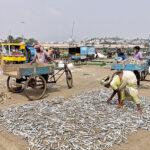 Au port de « Visag »