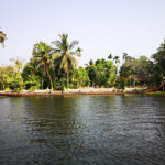 Backwaters