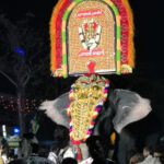 Festival des éléphants