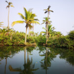 Munroe Island