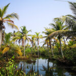 Munroe Island