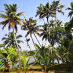 Munroe Island