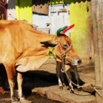 Couleurs INDE