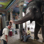 Bain de l’éléphant