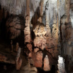Grottes de Postojna