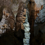 Grottes de Postojna
