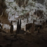 Grottes de Postojna