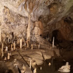 Grottes de Postojna