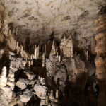 Grottes de Postojna