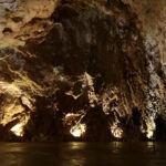 Grottes de Postojna