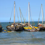 Bagamoyo, c’est bidon !