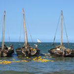 Bagamoyo, c’est bidon !