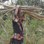 Trek à Morogoro