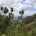 Trek à Morogoro