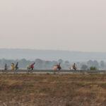 Vu du train : paysages