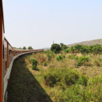 Vu du train : paysages
