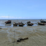 Marée basse
