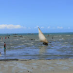 Pêche à la voile